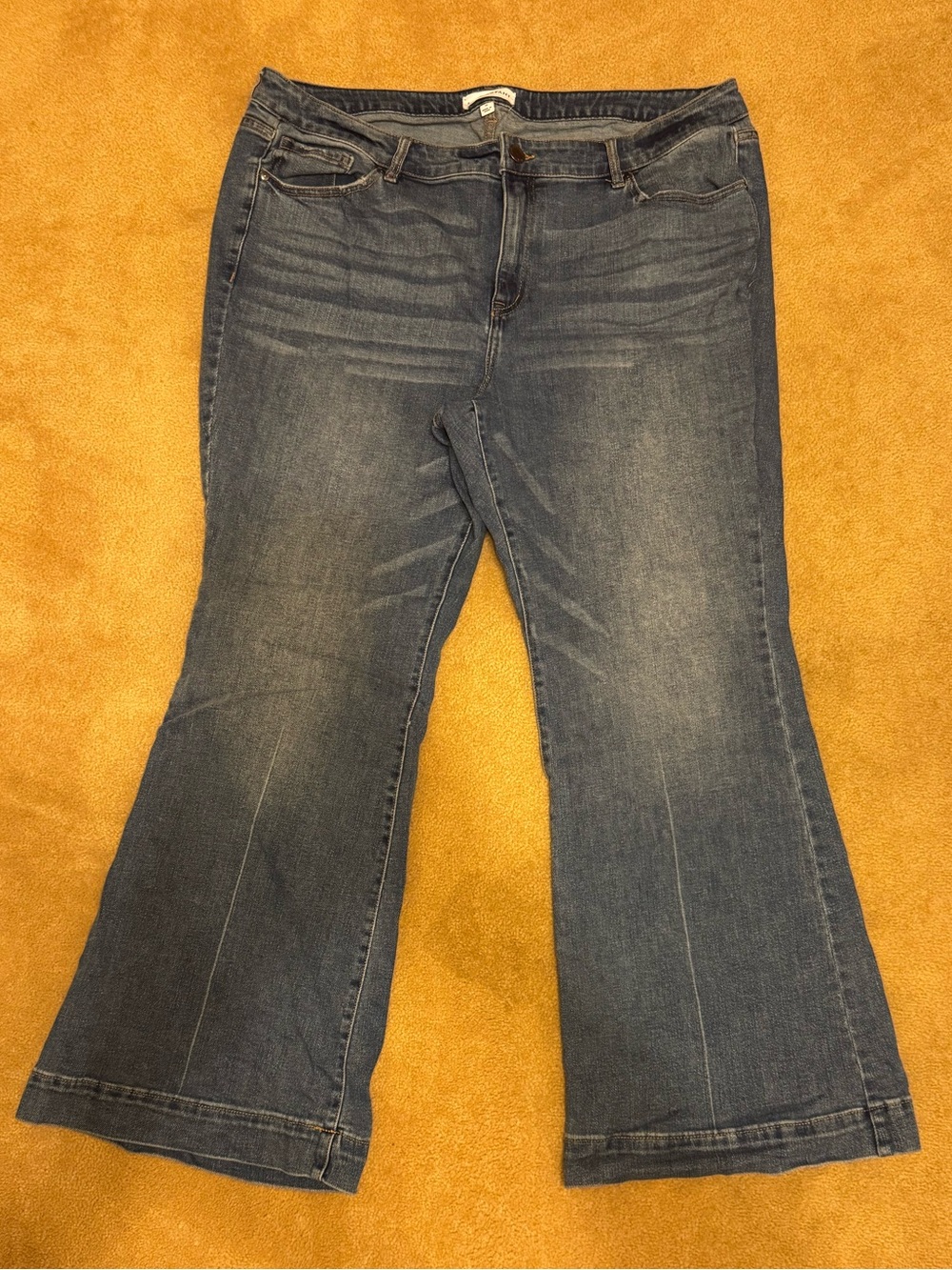 Lane Bryant Blue Flare Jeans